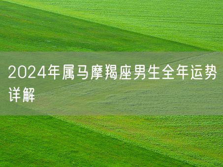 2024年属马摩羯座男生全年运势详解(图1)