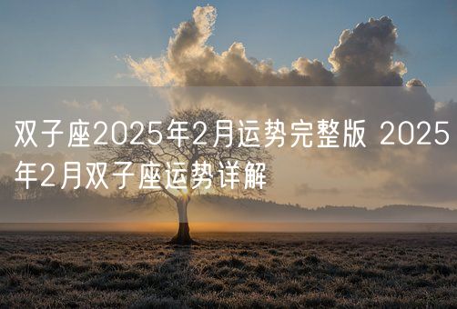 双子座2025年2月运势完整版 2025年2月双子座运势详解(图1) 双子座2025年2月运势完整版 2025年2月双子座运势详解(图1)