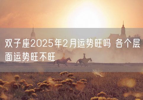 双子座2025年2月运势旺吗 各个层面运势旺不旺(图1) 双子座2025年2月运势旺吗 各个层面运势旺不旺(图1)