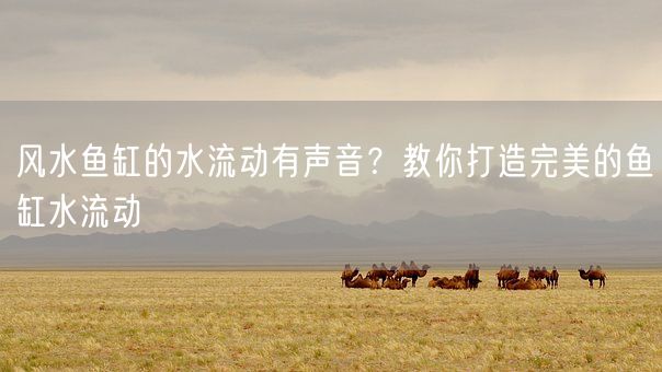 风水鱼缸的水流动有声音？教你打造完美的鱼缸水流动(图1)
