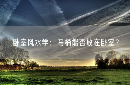 卧室风水学：马桶能否放在卧室？(图1)