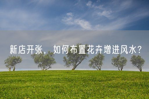 新店开张，如何布置花卉增进风水？(图1)
