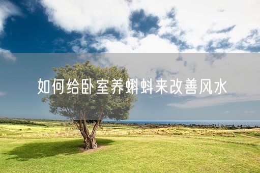 如何给卧室养蝌蚪来改善风水(图1)