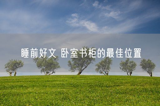 睡前好文 卧室书柜的最佳位置(图1)