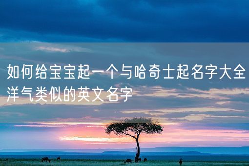 如何给宝宝起一个与哈奇士起名字大全洋气类似的英文名字(图1)