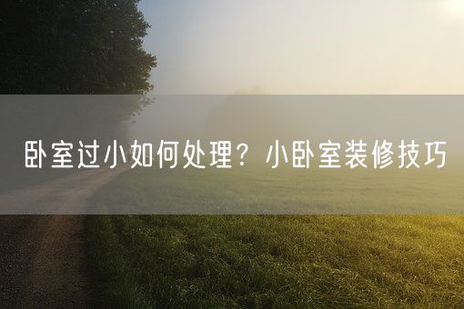卧室过小如何处理？小卧室装修技巧(图1)