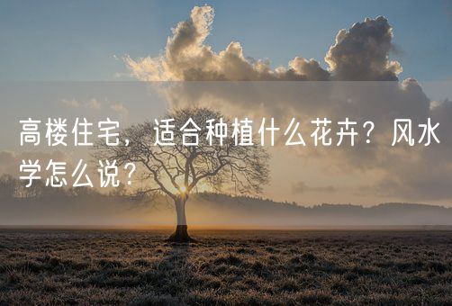 高楼住宅，适合种植什么花卉？风水学怎么说？(图1)