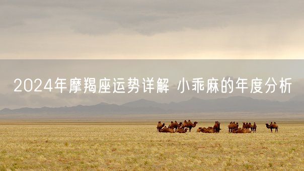 2024年摩羯座运势详解 小乖麻的年度分析(图1)
