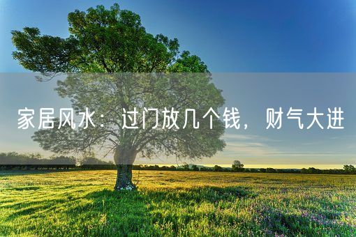 家居风水：过门放几个钱，财气大进(图1)