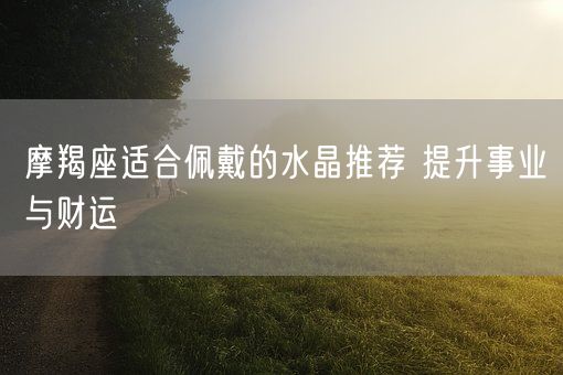 摩羯座适合佩戴的水晶推荐 提升事业与财运(图1)
