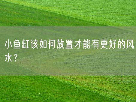 小鱼缸该如何放置才能有更好的风水？(图1)