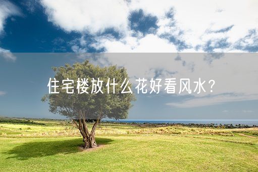 住宅楼放什么花好看风水？(图1)