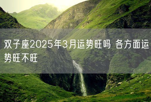 双子座2025年3月运势旺吗 各方面运势旺不旺(图1) 双子座2025年3月运势旺吗 各方面运势旺不旺(图1)