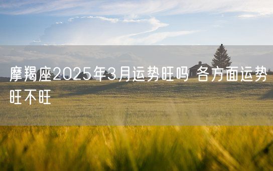 摩羯座2025年3月运势旺吗 各方面运势旺不旺(图1)