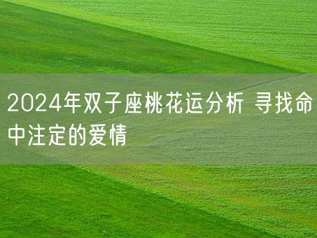 2024年双子座桃花运分析 寻找命中注定的爱情(图1) 2024年双子座桃花运分析 寻找命中注定的爱情(图1)