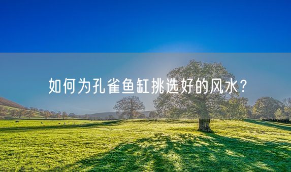 如何为孔雀鱼缸挑选好的风水？(图1)