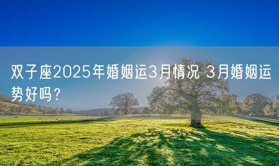 双子座2025年婚姻运3月情况 3月婚姻运势好吗?(图1) 双子座2025年婚姻运3月情况 3月婚姻运势好吗?(图1)
