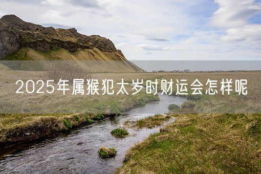 2025年属猴犯太岁时财运会怎样呢(图1)
