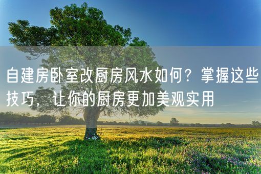 自建房卧室改厨房风水如何？掌握这些技巧，让你的厨房更加美观实用(图1)