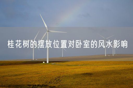 桂花树的摆放位置对卧室的风水影响(图1)