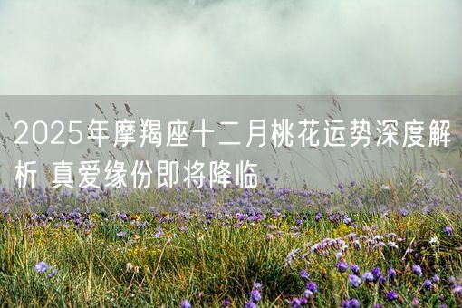 2025年摩羯座十二月桃花运势深度解析 真爱缘份即将降临(图1)