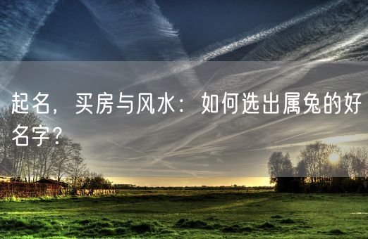 起名，买房与风水：如何选出属兔的好名字？(图1)