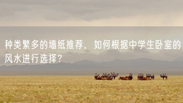 种类繁多的墙纸推荐，如何根据中学生卧室的风水进行选择？(图1)