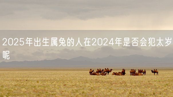2025年出生属兔的人在2024年是否会犯太岁呢(图1)