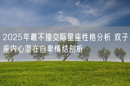 2025年最不擅交际星座性格分析 双子座内心潜在自卑情结剖析(图1) 2025年最不擅交际星座性格分析 双子座内心潜在自卑情结剖析(图1)