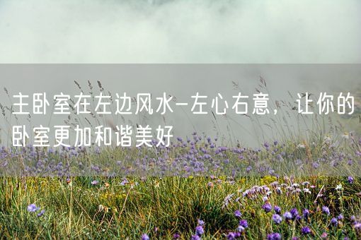 主卧室在左边风水-左心右意，让你的卧室更加和谐美好(图1)