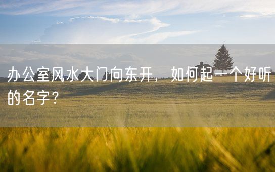 办公室风水大门向东开，如何起一个好听的名字？(图1)