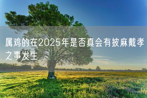 属鸡的在2025年是否真会有披麻戴孝之事发生(图1)