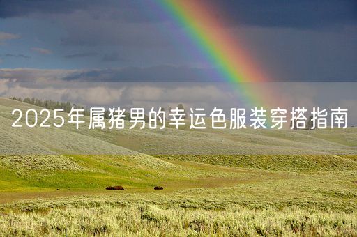 2025年属猪男的幸运色服装穿搭指南(图1)