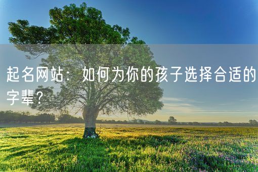 起名网站：如何为你的孩子选择合适的字辈？(图1)
