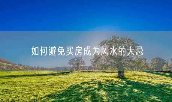 如何避免买房成为风水的大忌(图1)