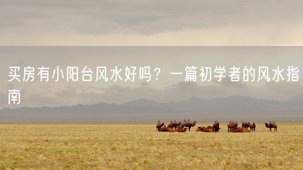 买房有小阳台风水好吗?一篇初学者的风水指南(图1) 买房有小阳台风水好吗?一篇初学者的风水指南(图1)