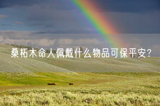 桑柘木命人佩戴什么物品可保平安？(图1)