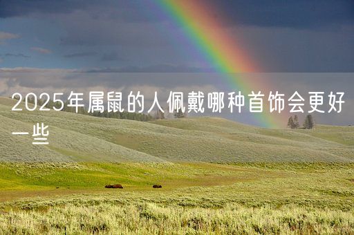 2025年属鼠的人佩戴哪种首饰会更好一些(图1)