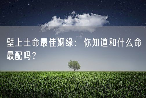 壁上土命最佳姻缘：你知道和什么命最配吗？(图1)