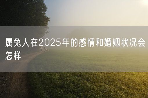 属兔人在2025年的感情和婚姻状况会怎样(图1)