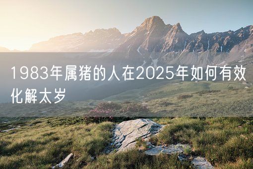 1983年属猪的人在2025年如何有效化解太岁(图1)