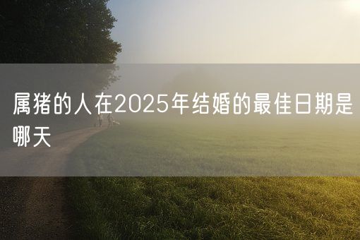 属猪的人在2025年结婚的最佳日期是哪天(图1)
