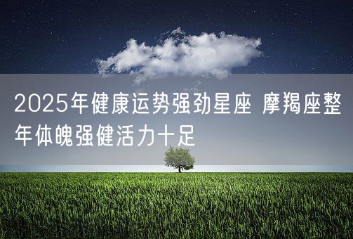 2025年健康运势强劲星座 摩羯座整年体魄强健活力十足(图1)