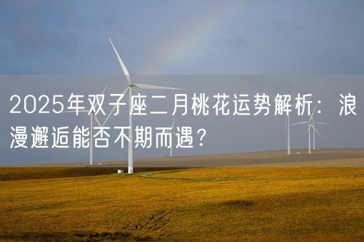2025年双子座二月桃花运势解析：浪漫邂逅能否不期而遇？(图1)