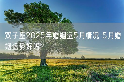 双子座2025年婚姻运5月情况 5月婚姻运势好吗？(图1)