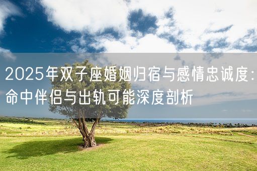 2025年双子座婚姻归宿与感情忠诚度：命中伴侣与出轨可能深度剖析(图1)