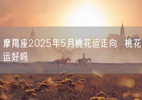 摩羯座2025年5月桃花运走向  桃花运好吗(图1)