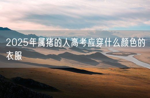 2025年属猪的人高考应穿什么颜色的衣服(图1)