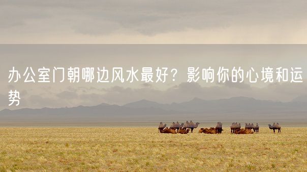 办公室门朝哪边风水最好？影响你的心境和运势(图1)