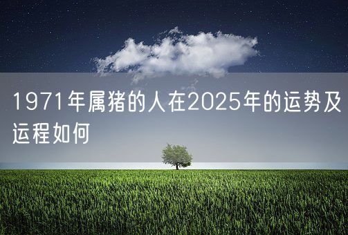 1971年属猪的人在2025年的运势及运程如何(图1)